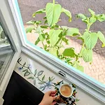 شقة Gato, Charming Portuguese Style For Rent, Vida A Portuguesa