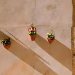 شقة Gato, Charming Portuguese Style For Rent, Vida A Portuguesa *