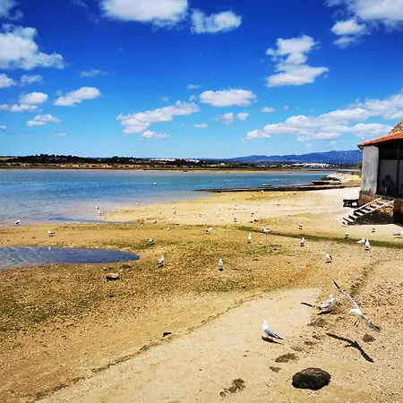 'Gato', Charming Portuguese Style Apartment For Rent, 'Vida A Portuguesa' *