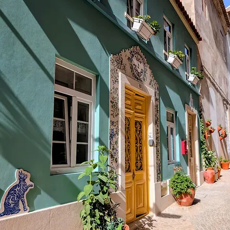 Gato, Charming Portuguese Style For Rent, Vida A Portuguesa Apartament