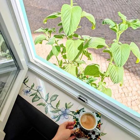 Διαμέρισμα Gato, Charming Portuguese Style For Rent, Vida A Portuguesa