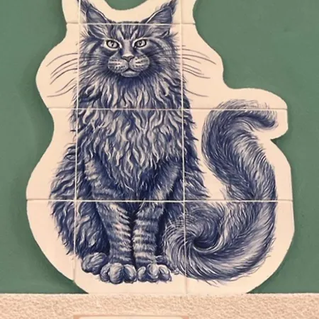 Gato, Charming Portuguese Style For Rent, Vida A Portuguesa *