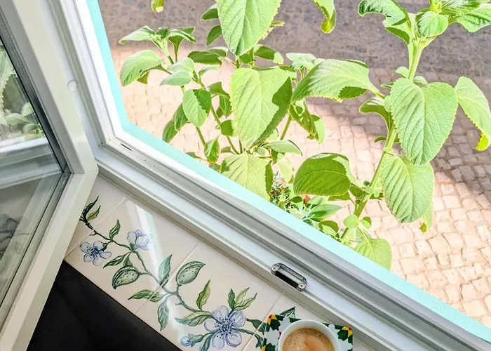 Appartement Gato, Charming Portuguese Style For Rent, Vida A Portuguesa