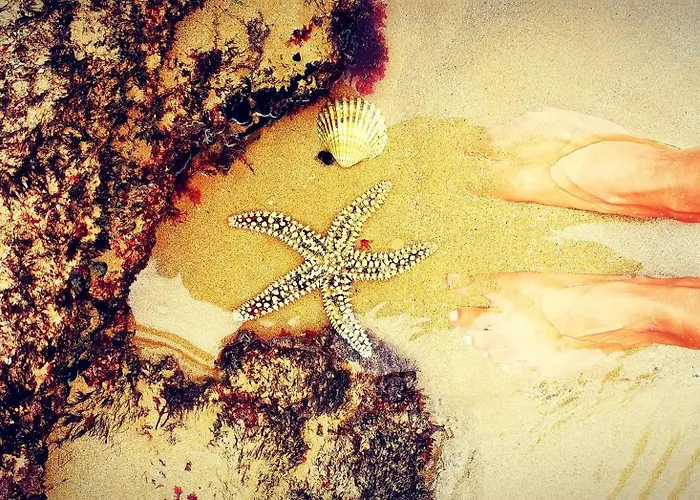 Appartement Gato, Charming Portuguese Style For Rent, Vida A Portuguesa *