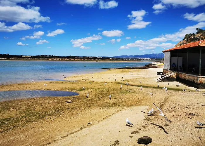 Gato, Charming Portuguese Style For Rent, Vida A Portuguesa *