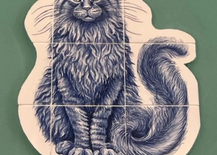 Gato, Charming Portuguese Style For Rent, Vida A Portuguesa *