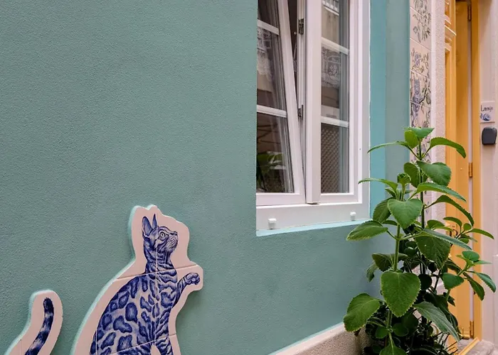 Gato, Charming Portuguese Style For Rent, Vida A Portuguesa Appartement Portimão