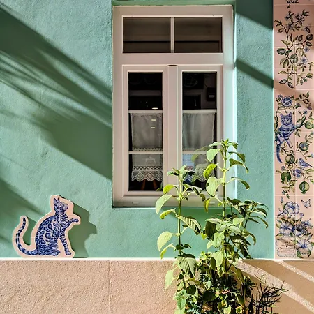 Gato, Charming Portuguese Style For Rent, Vida A Portuguesa Appartement