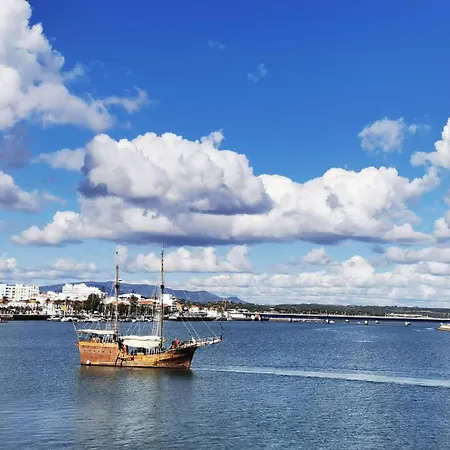 Gato, Charming Portuguese Style For Rent, Vida A Portuguesa شقة *