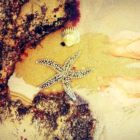 شقة Gato, Charming Portuguese Style For Rent, Vida A Portuguesa *