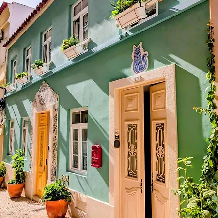 Gato, Charming Portuguese Style For Rent, Vida A Portuguesa شقة