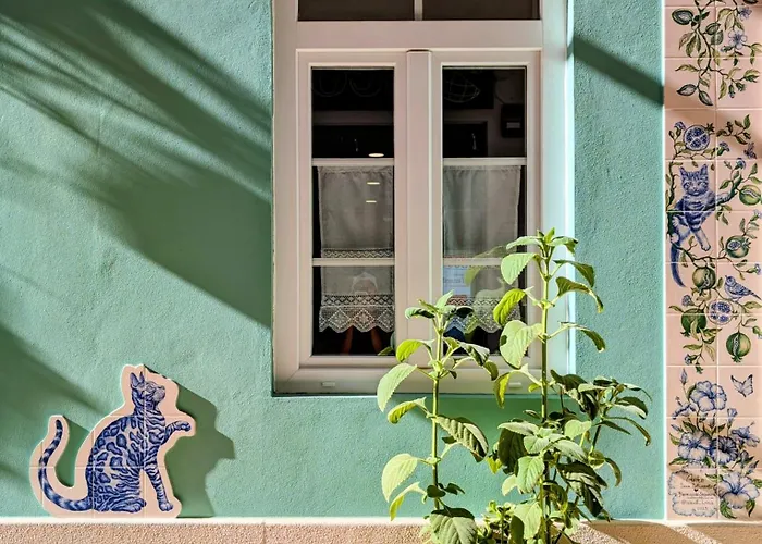 Gato, Charming Portuguese Style For Rent, Vida A Portuguesa Apartment