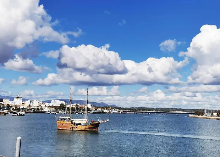 Gato, Charming Portuguese Style For Rent, Vida A Portuguesa Apartment *