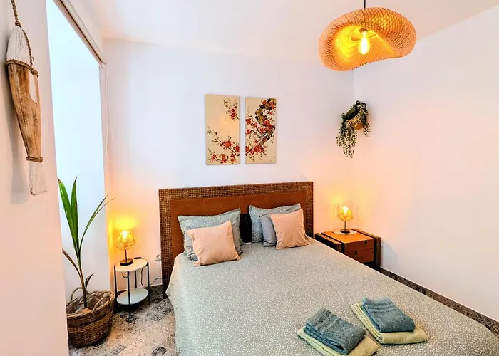 Gato, Charming Portuguese Style For Rent, Vida A Portuguesa Apartment *